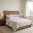 Untitled design - 1