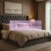 Untitled design - 1