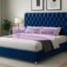 Untitled design - 1